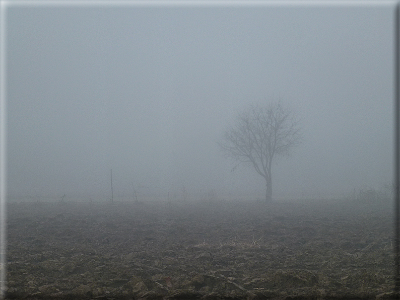 foto Pedemontana Veneta nella nebbia